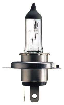 Gldlampa 100/90W
